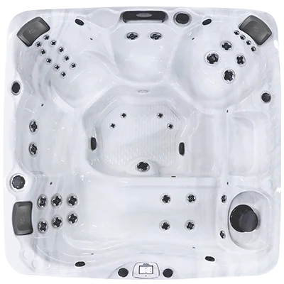 Avalon-X EC-840LX hot tubs for sale in Bradenton