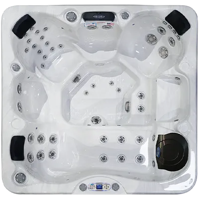 Avalon EC-849L hot tubs for sale in Bradenton