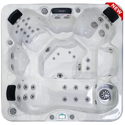 Avalon-X EC-849LX hot tubs for sale in Bradenton