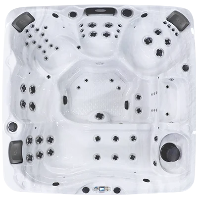 Avalon EC-867L hot tubs for sale in Bradenton