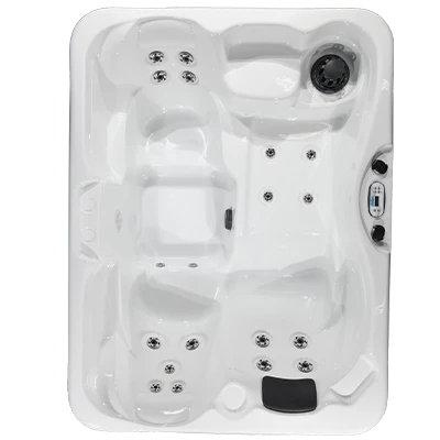 Kona PZ-519L hot tubs for sale in Bradenton
